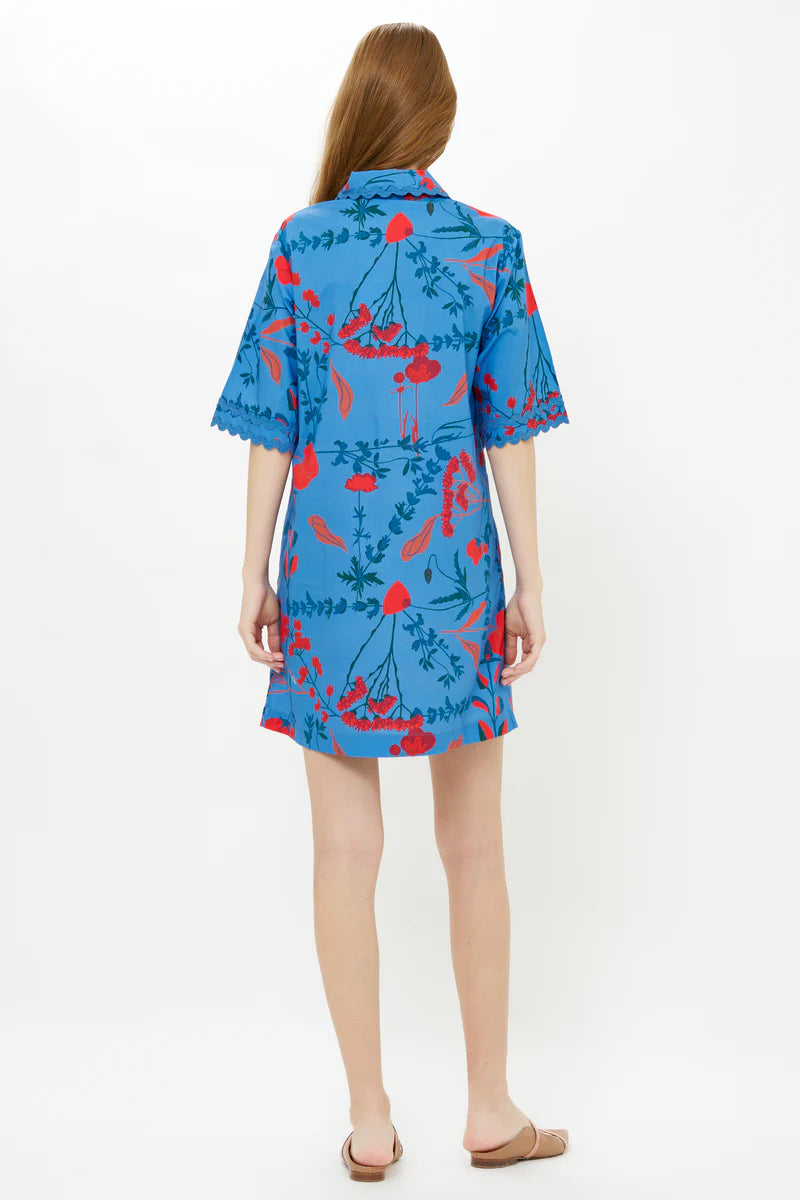 Collared Shirt Dress - Bartram Blue