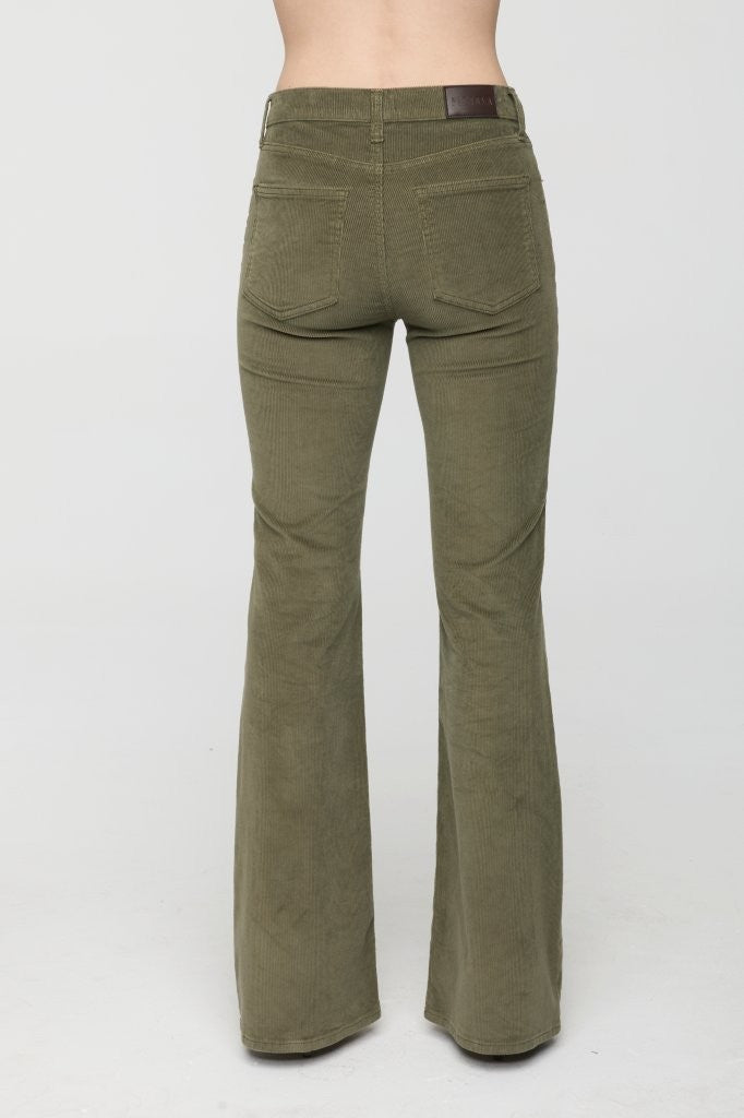 KINSLEY MID RISE ULTRA FLARE